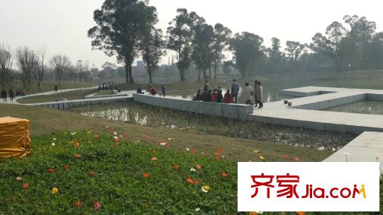 保利兩河森林項(xiàng)目周邊實(shí)景