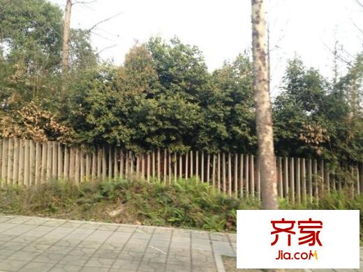 南洋國際莊園外景圖 