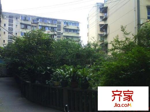 光榮西路65號院外景圖光榮西路社區(qū)