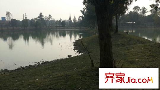 保利兩河森林項目周邊實景