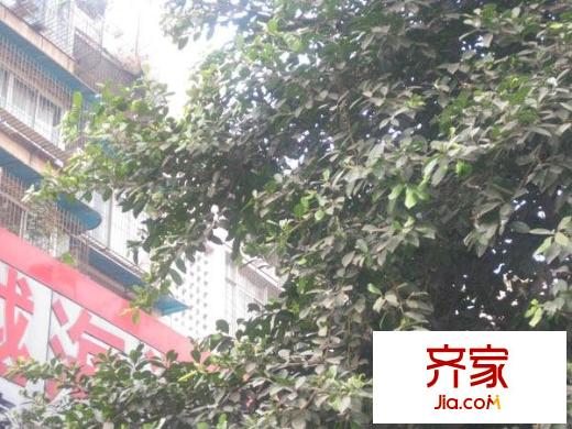 成都市公安局金牛區(qū)分局宿舍外景圖