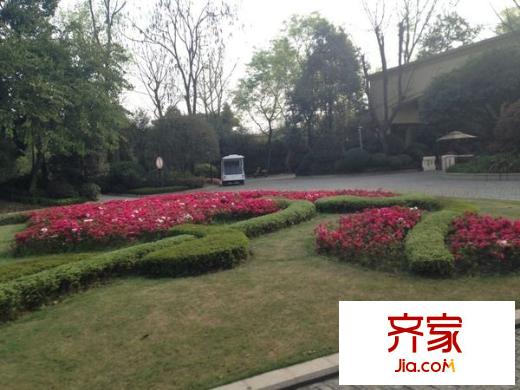 南洋國際莊園外景圖 