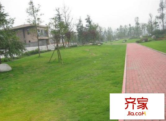 南洋國際莊園外景圖