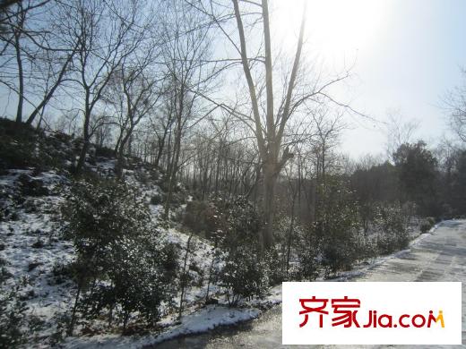 綠城玫瑰園老山風(fēng)光
