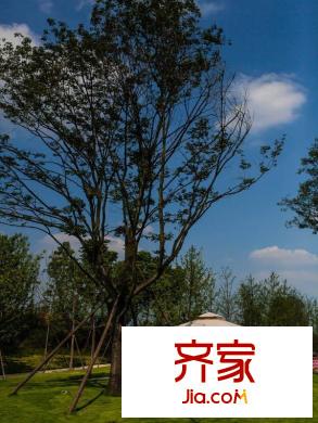 麓湖生態(tài)城瀾語溪岸外景圖