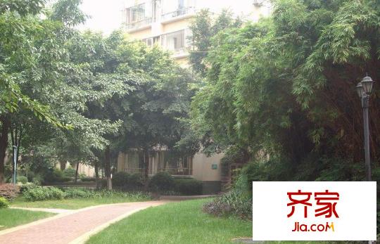 好萊塢廣場(chǎng)外景圖