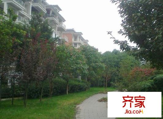 觀瀾半島花園洋房外景圖