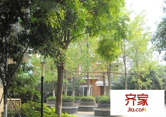 觀瀾半島花園洋房外景圖