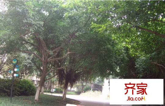 好萊塢廣場外景圖