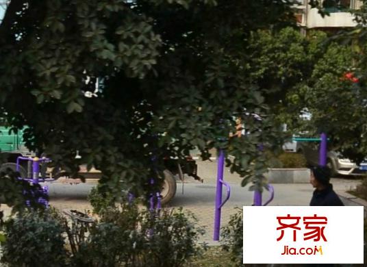 錦翠南苑外景圖
