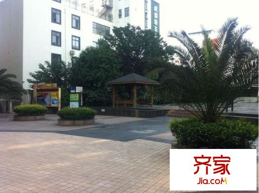 金茂禮都外景圖