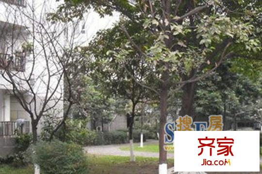 金房苑琴園外景圖