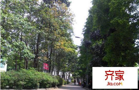 天合凱旋港外景圖