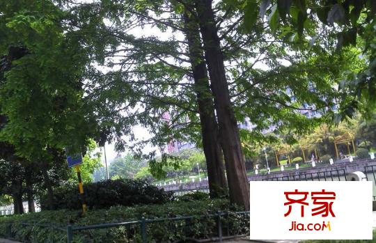 天合凱旋港外景圖