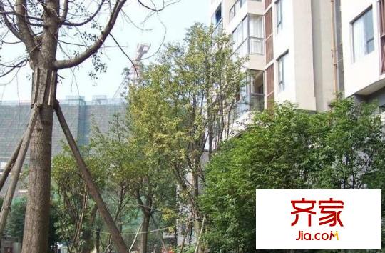 優(yōu)地A區(qū)外景圖