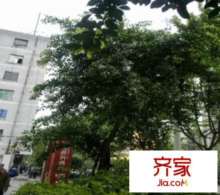 雙城外景圖