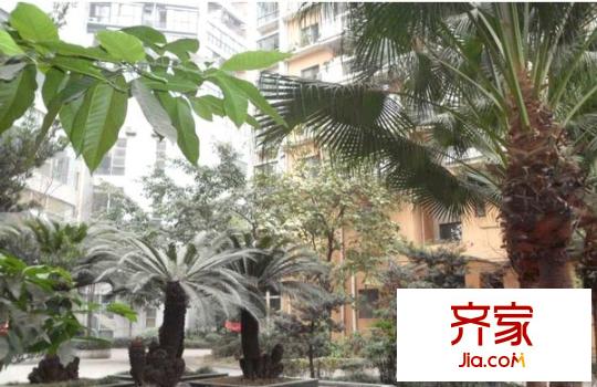麗景天成外景圖