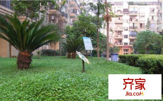 雙櫻閣外景圖