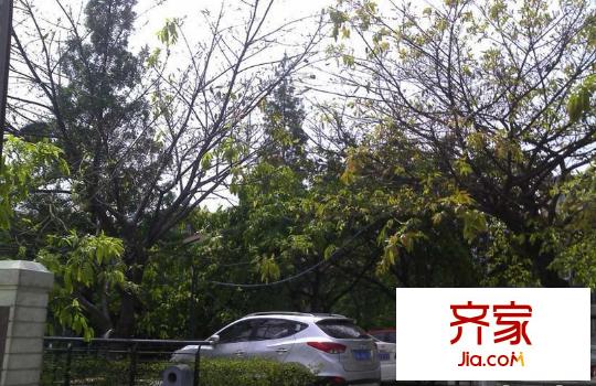 天合凱旋港外景圖