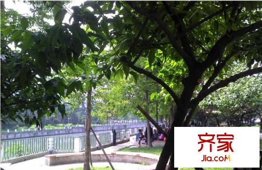 天合凱旋港外景圖