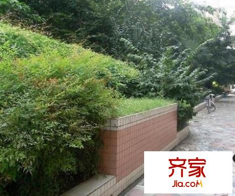 科華之星外景圖