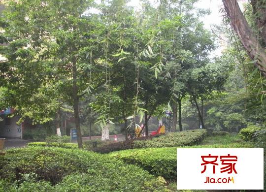 康河酈景外景圖2