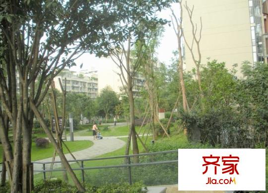 康河酈景外景圖4
