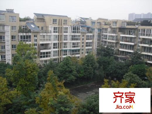 金域香洲外景圖