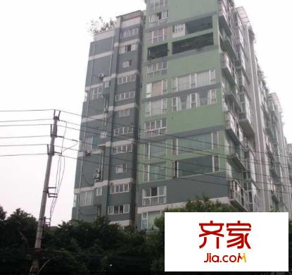 新綠季節(jié)外景圖