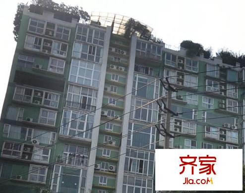 新綠季節(jié)外景圖