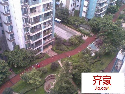 龍華陽(yáng)光外景圖 