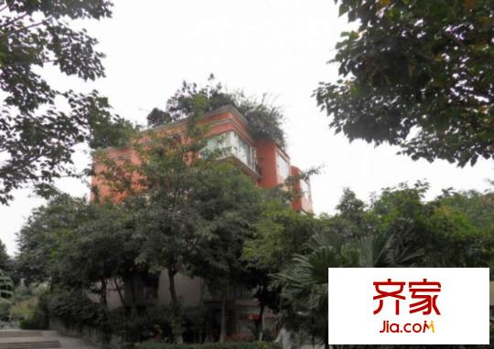 金南園外景圖