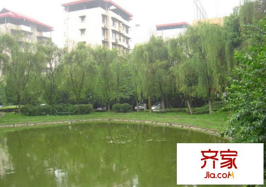 康河酈景外景圖1