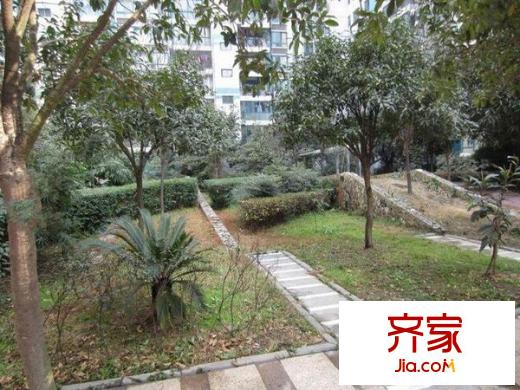 龍華陽(yáng)光外景圖 
