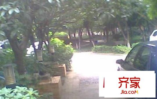 交大廣廈小區(qū)外景圖 