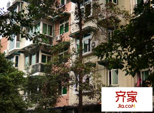 幸福春天外景圖