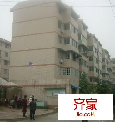 金科苑二區(qū)外景圖