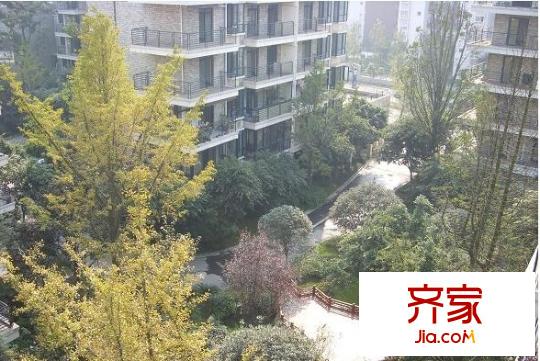 南陽錦城晶品外景圖