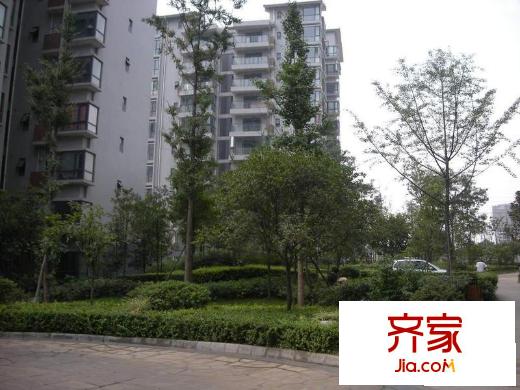 大觀城市花園外景圖