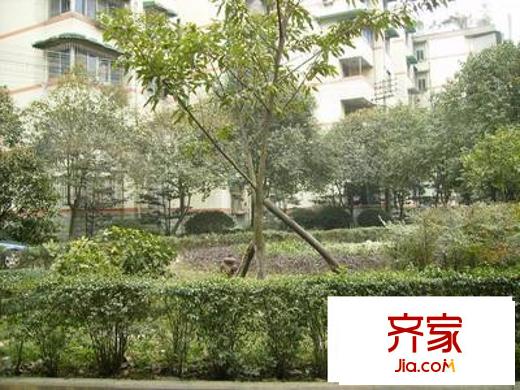 交大廣廈小區(qū)外景圖 