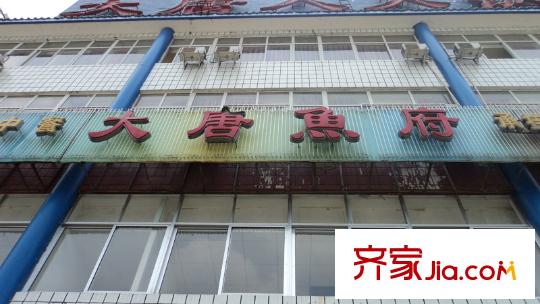 月光誠品配套圖售樓部旁50米大唐魚府
