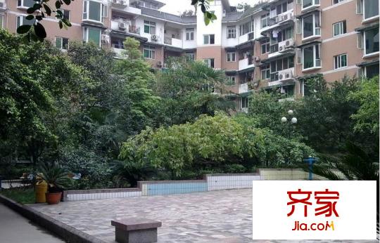 幸福春天外景圖