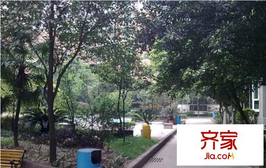 幸福春天外景圖