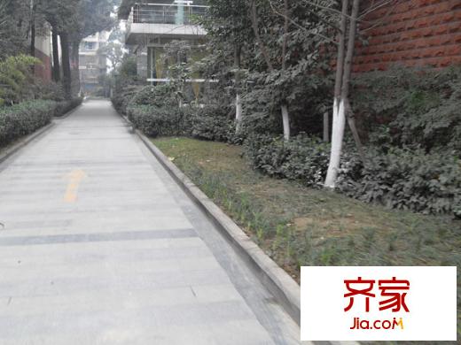 金府路6號院