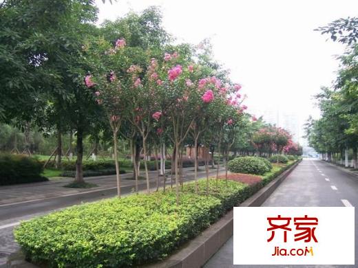 新橋逸景A區(qū)外景圖