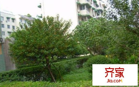 中央花園外景圖