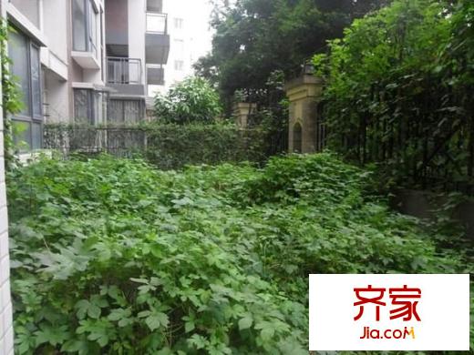 康橋品上外景圖 