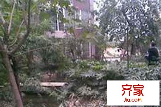幸福時(shí)光外景圖