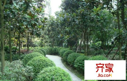塞納河畔外景圖