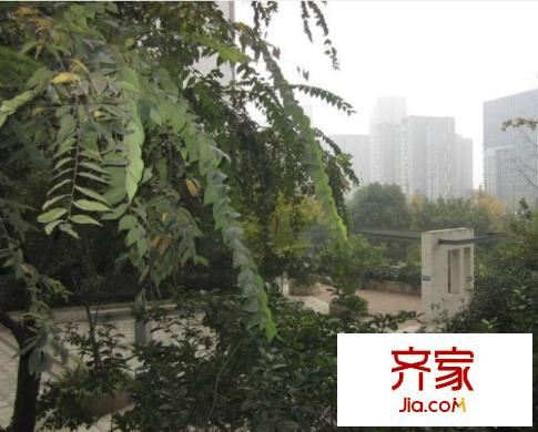 齊盛藝境外景圖